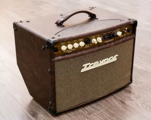 Traynor - 2-Channel Compact Stereo Acoustic Guitar Amp - 65 Watts 2